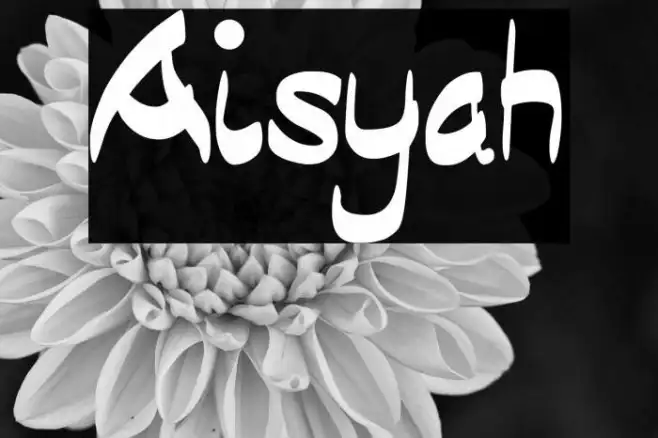 Aisyah Example 3
