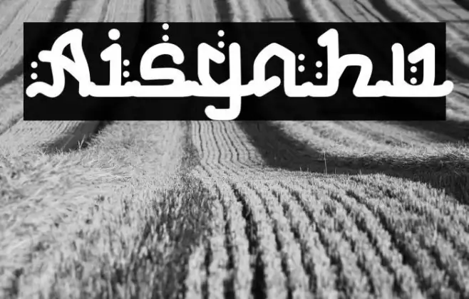 Aisyahu Example 3