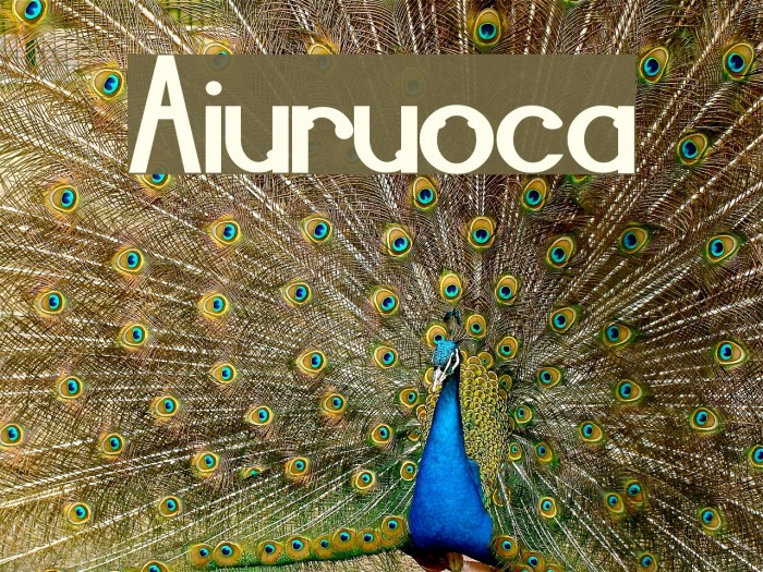 Aiuruoca Example 2