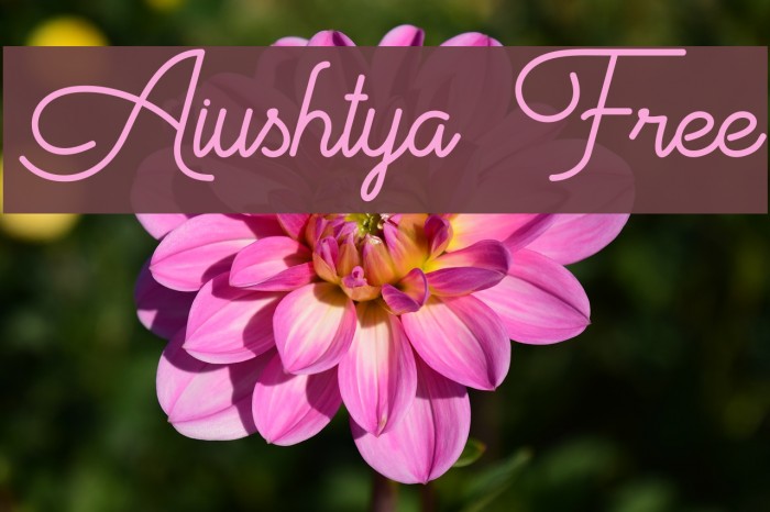 Aiushtya Free Font examples