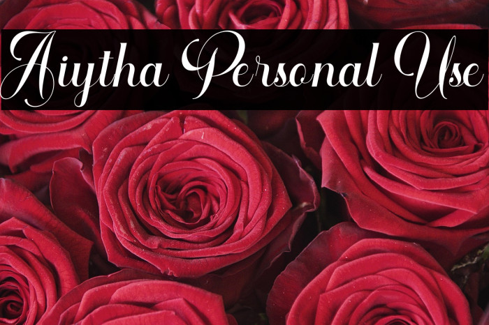 Aiytha Personal Use Example 1