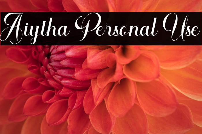 Aiytha Personal Use Example 2