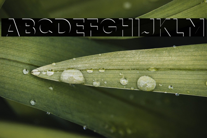 airment Regular Example 2