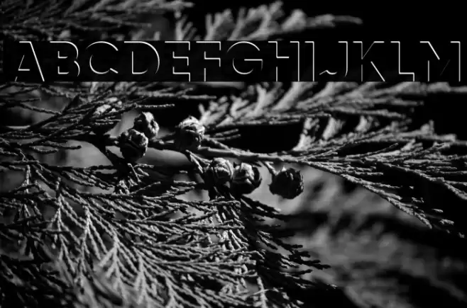 airment Regular Font examples