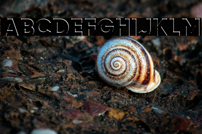 airment RegularStar Example 3