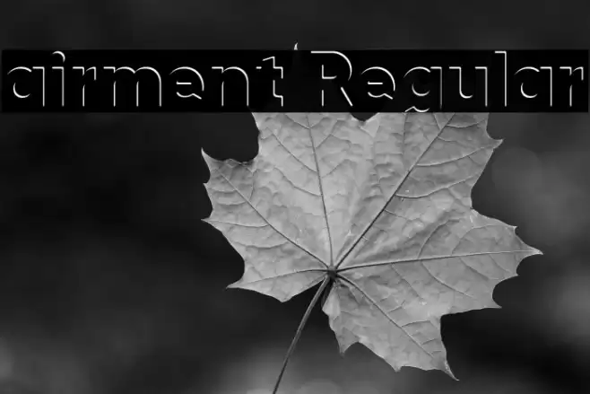 airment Regular Font examples