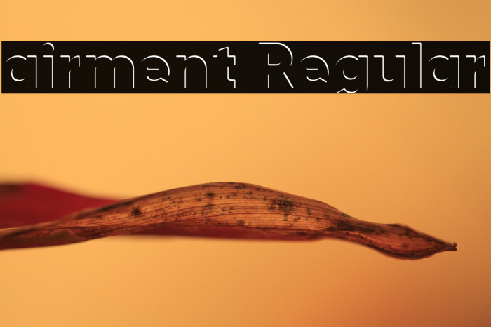 airment Regular Example 3