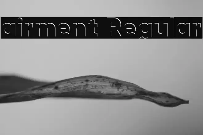 airment Regular Font examples