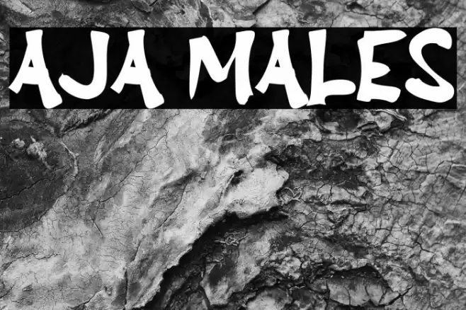 Aja Males Font examples