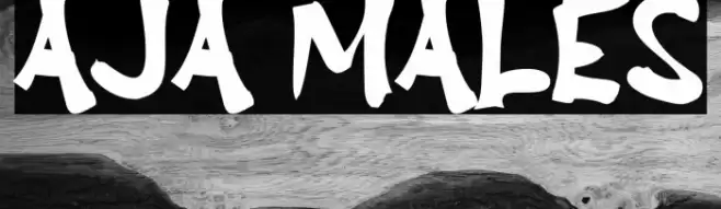 Aja Males Font examples