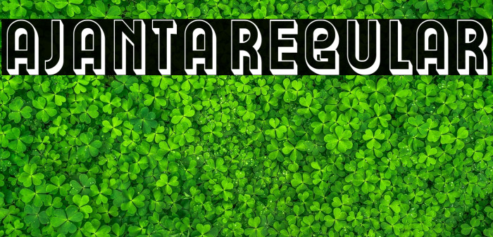 Ajanta Regular Example 3