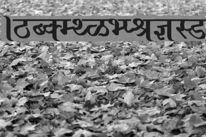 Ajay Normal Bold Font examples