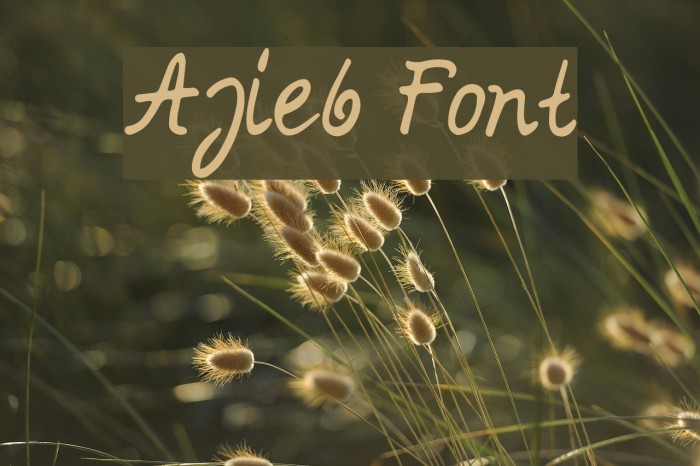 Ajieb Fonte examples