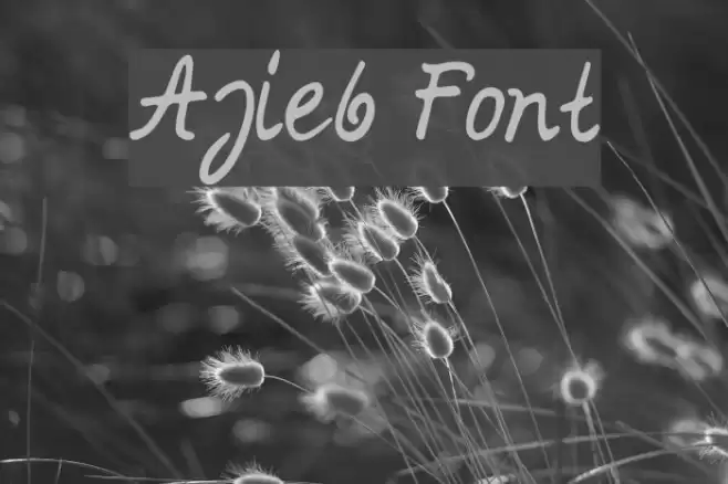 Ajieb Font examples