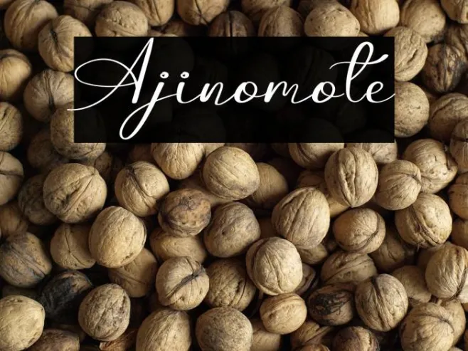 Ajinomote Example 3