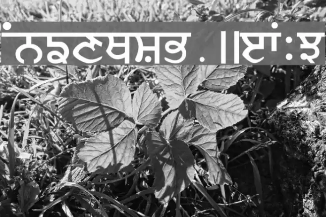Ajit फ़ॉन्ट examples