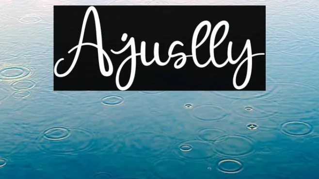 Ajuslly Example 1