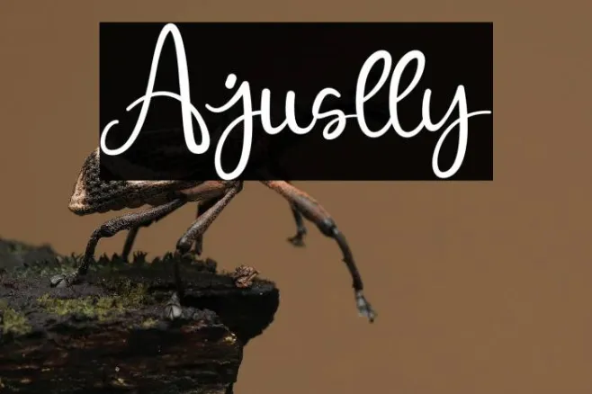 Ajuslly Example 2