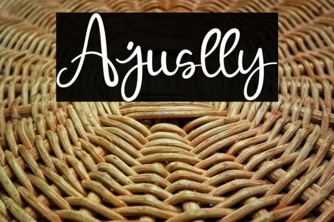 Ajuslly Example 3