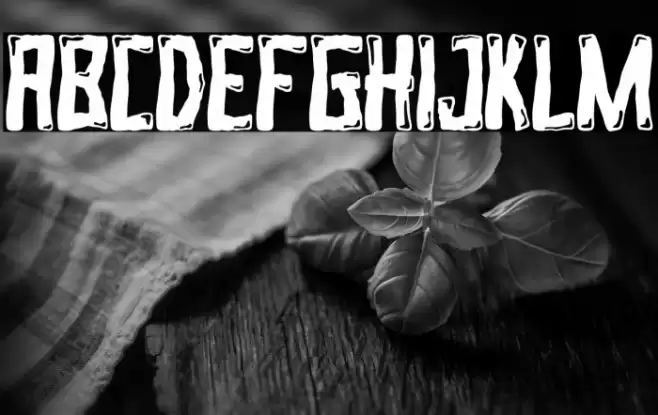 AKICK STONE Font examples