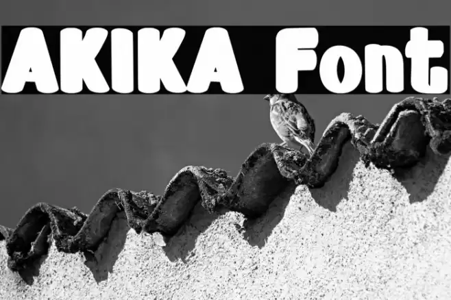 AKIKA Fonte examples