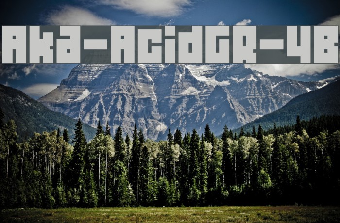 Aka-AcidGR-4B Font examples