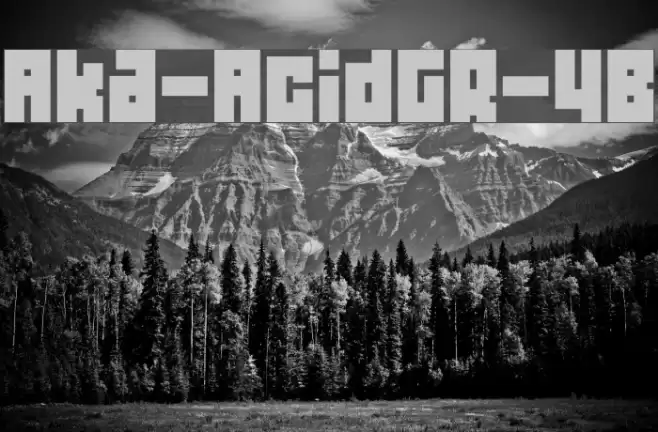 Aka-AcidGR-4B Fonte examples