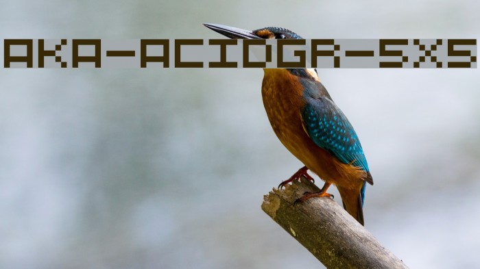 Aka-AcidGR-5X5 Fonte examples