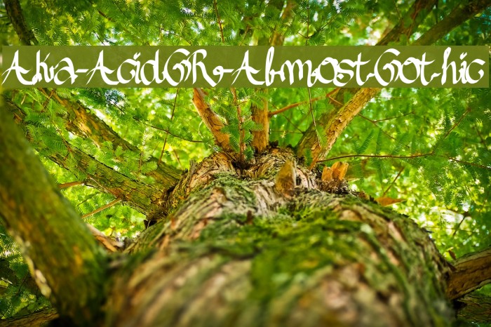 Aka-AcidGR-AlmostGothic Font examples