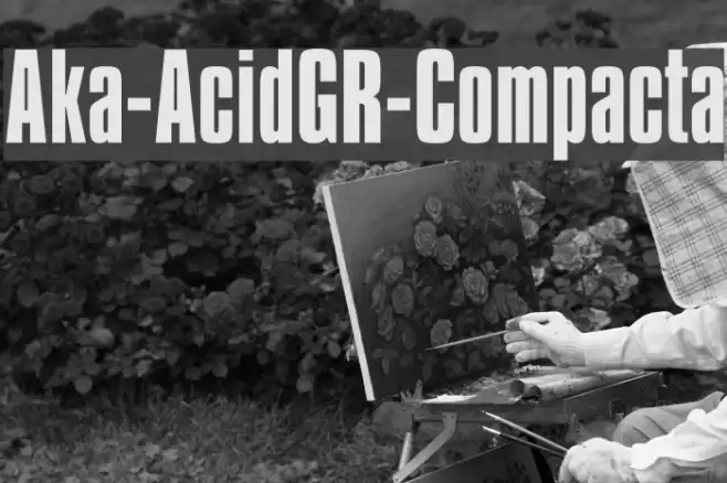 Aka-AcidGR-Compacta Font examples
