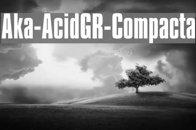 Aka-AcidGR-Compacta Font examples