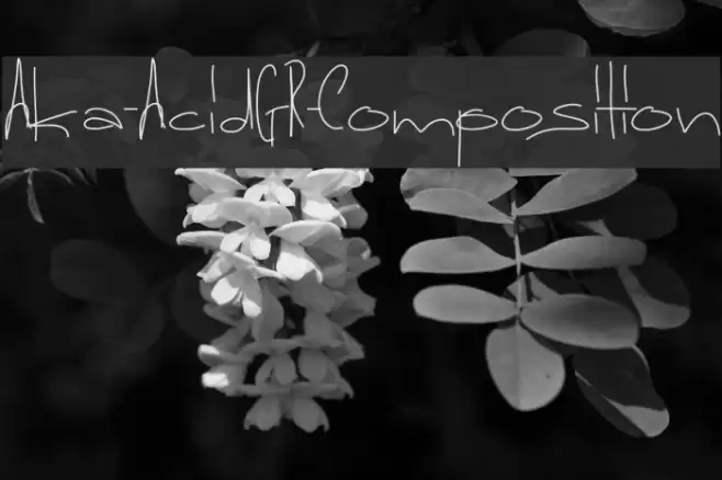 Aka-AcidGR-Composition Font examples