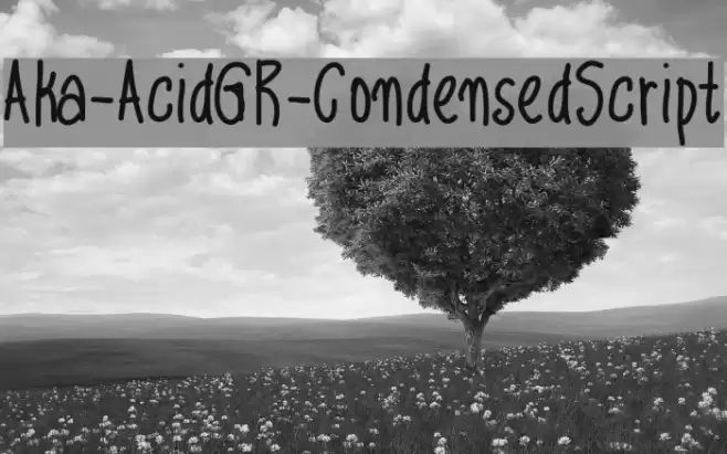 Aka-AcidGR-CondensedScript Font examples