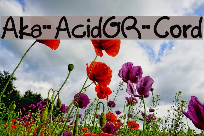 Aka-AcidGR-Cord Font examples