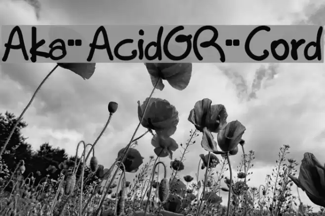 Aka-AcidGR-Cord Font examples