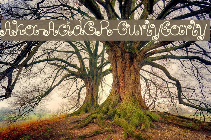 Aka-AcidGR-CurlyEarly Font examples