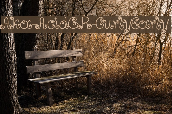 Aka-AcidGR-CurlyEarly Font examples