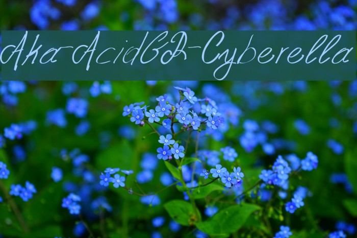 Aka-AcidGR-Cyberella Font examples