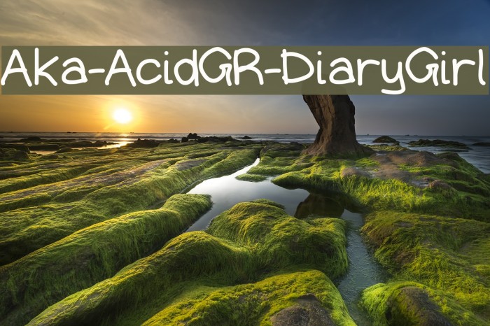 Aka-AcidGR-DiaryGirl Font examples