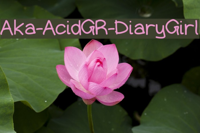 Aka-AcidGR-DiaryGirl Font examples