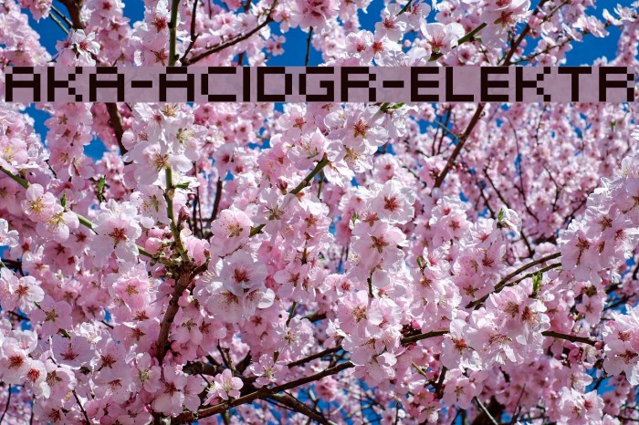 Aka-AcidGR-Elektr Font examples