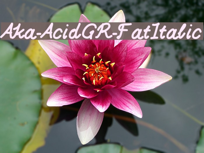 Aka-AcidGR-FatItalic Font examples