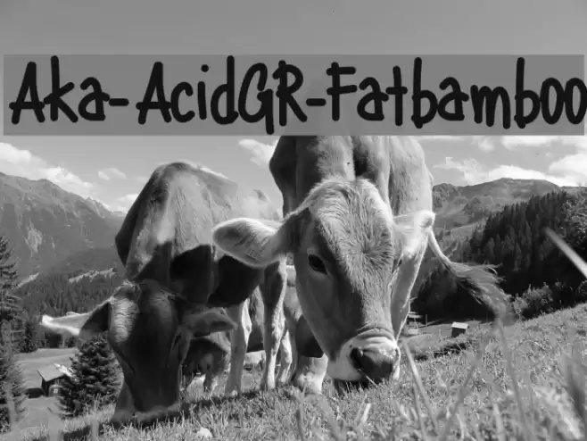 Aka-AcidGR-Fatbamboo Font examples