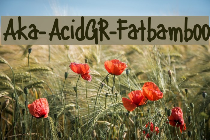 Aka-AcidGR-Fatbamboo Example 3