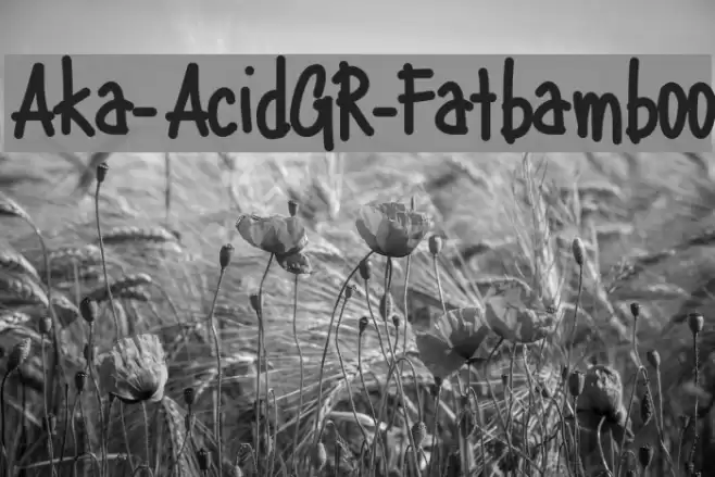 Aka-AcidGR-Fatbamboo Font examples