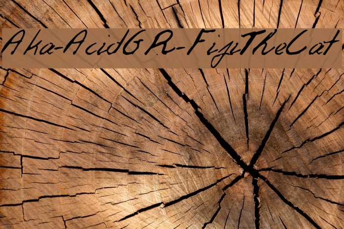 Aka-AcidGR-FifiTheCat Font examples