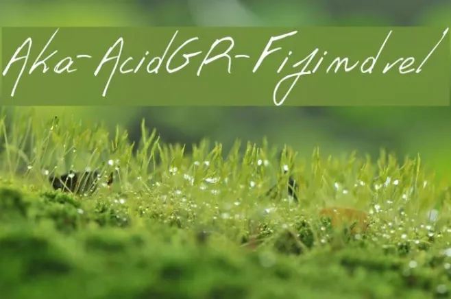 Aka-AcidGR-Fifindrel Example 1