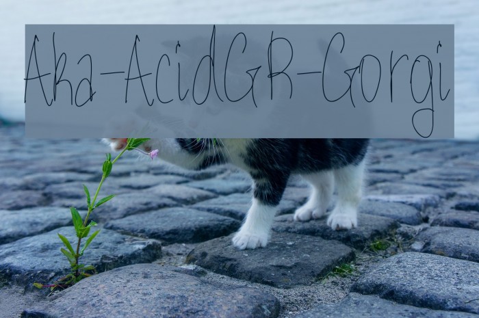 Aka-AcidGR-Gorgi Example 1