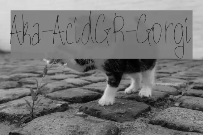 Aka-AcidGR-Gorgi Font examples
