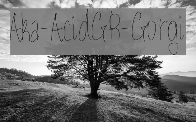 Aka-AcidGR-Gorgi Font examples
